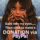Donate Through PayPal